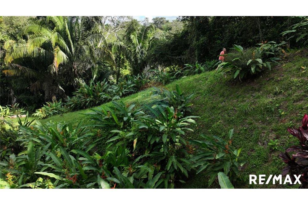 Comercial - Terreno - Parrita, Puntarenas - Parrita, Costa Rica - Caribbean & Central Ameri - 12 - 90168045-21