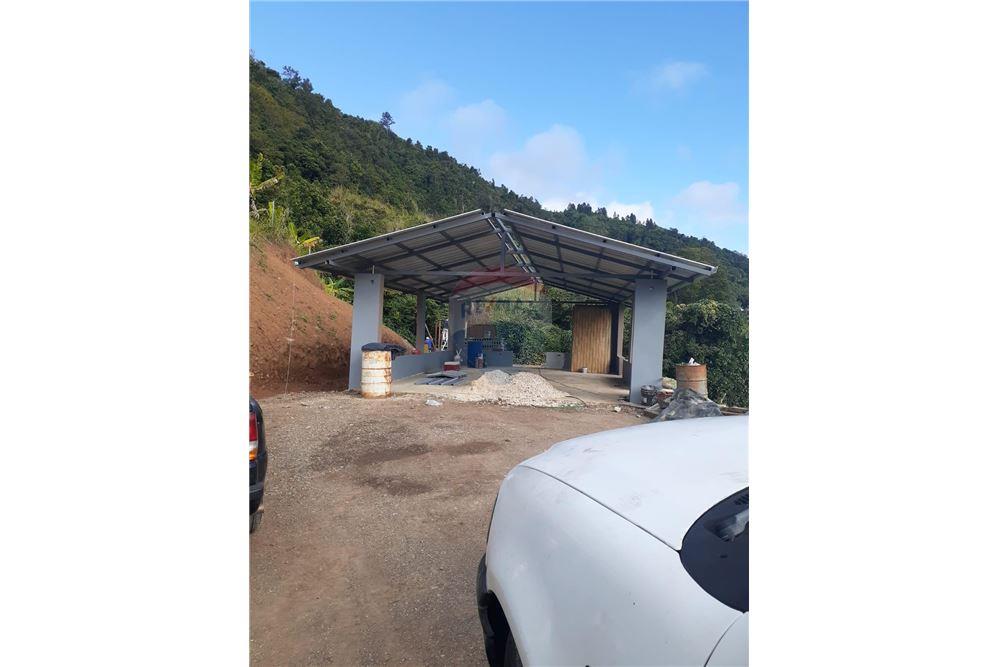 Land - For Sale - Barranquitas, Barranquitas, Puerto Rico - 6 - 90102087-2