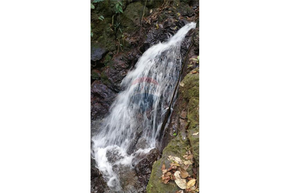 Surface commerciale - Autre terrain - San José, San José, Costa Rica - Caribbean & Central Ameri - 27 - 90168030-68