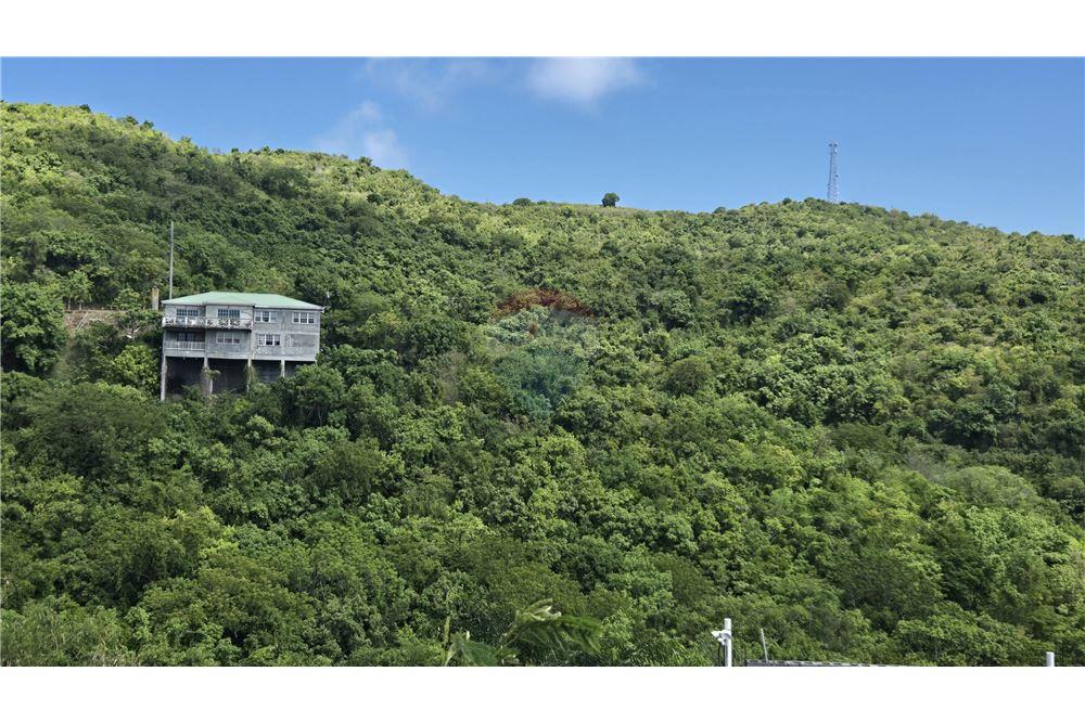 Grondstuk - Te Koop - Mount Welcome Estate, St Croix, US Virgin Islands - 3 - 90123001-1313
