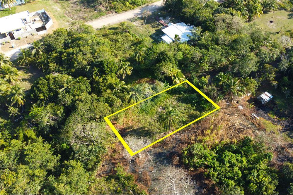 Comercial - Terrenos - Corozal Town, Corozal District, Belize - Caribbean & Central Ameri - 3 - 901411007-93