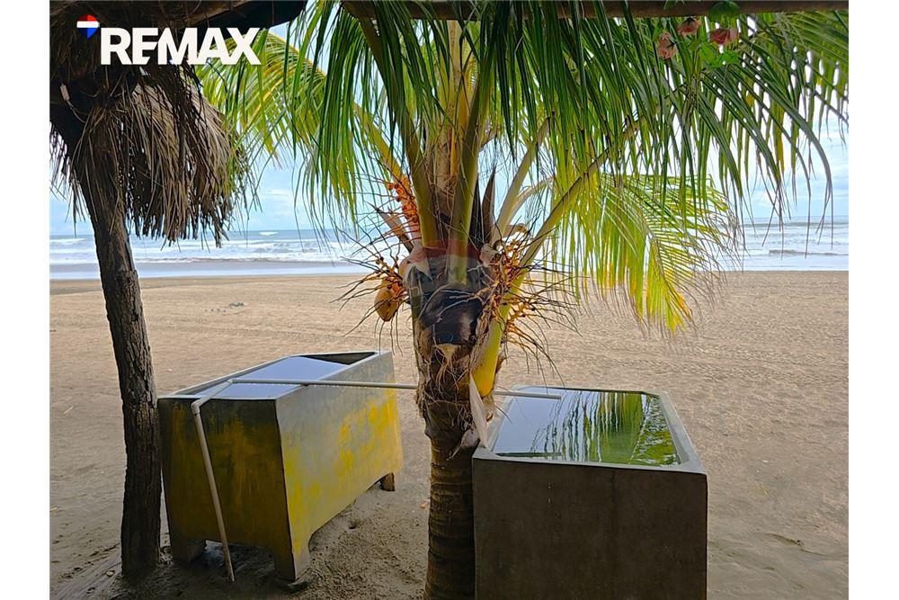 Commercial - Land - Masachapa, Managua, Nicaragua - Caribbean & Central Ameri - 24 - 90119010-82