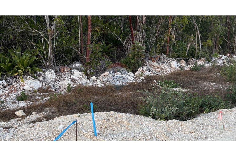 Land - For Sale - North East Coast, Rum Point, Cayman Islands - 5 - 90146014-112