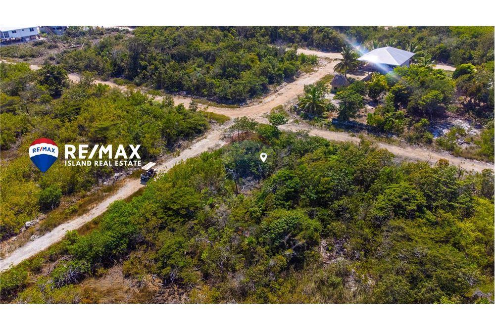 Commercial - Land - Ambergris Caye, Ambergris Caye, Belize - Caribbean & Central Ameri - 4 - 90135004-93