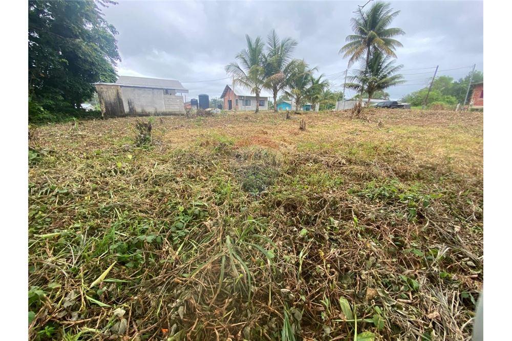 Grondstuk - Te Koop - Sangre Grande, Saint Andrew, Trinidad and Tobago - 6 - 90155109-184