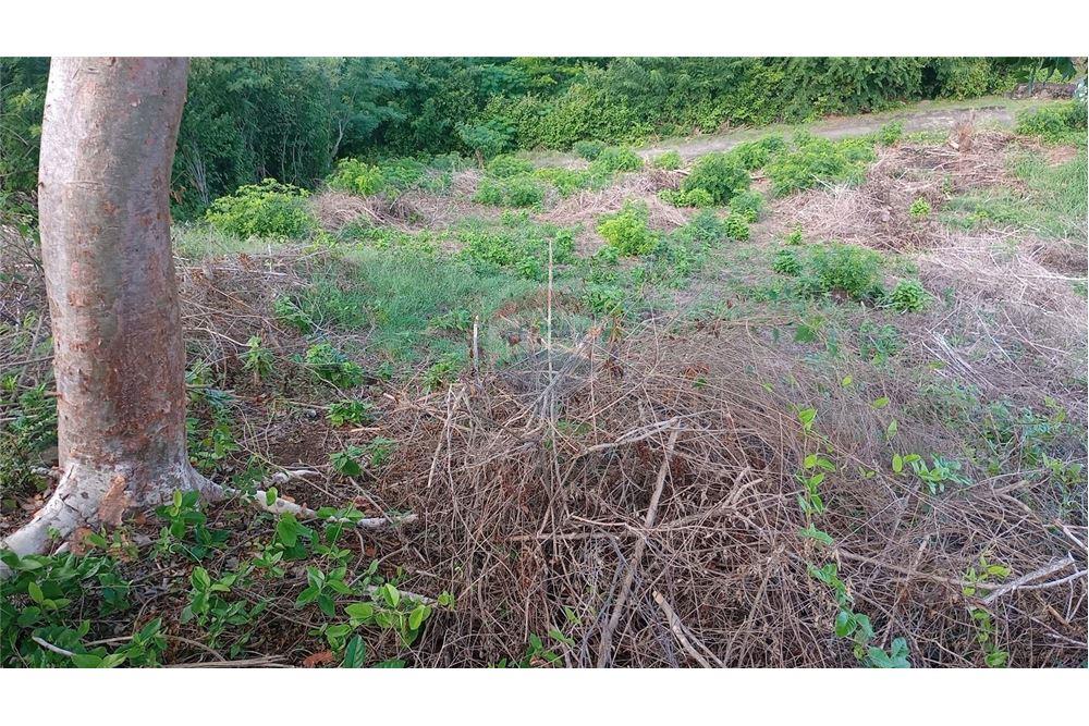 商业 - 土地 - Layou, St Vincent, St Vincent and the Grenadines - Caribbean & Central Ameri - 2 - 90109008-6