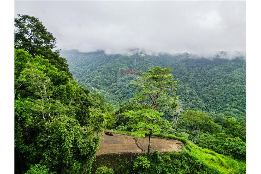 Commercial - Land - Jaco - Jaco, Puntarenas- Garabito, Costa Rica - Caribbean & Central Ameri - 4 - 90168016-217