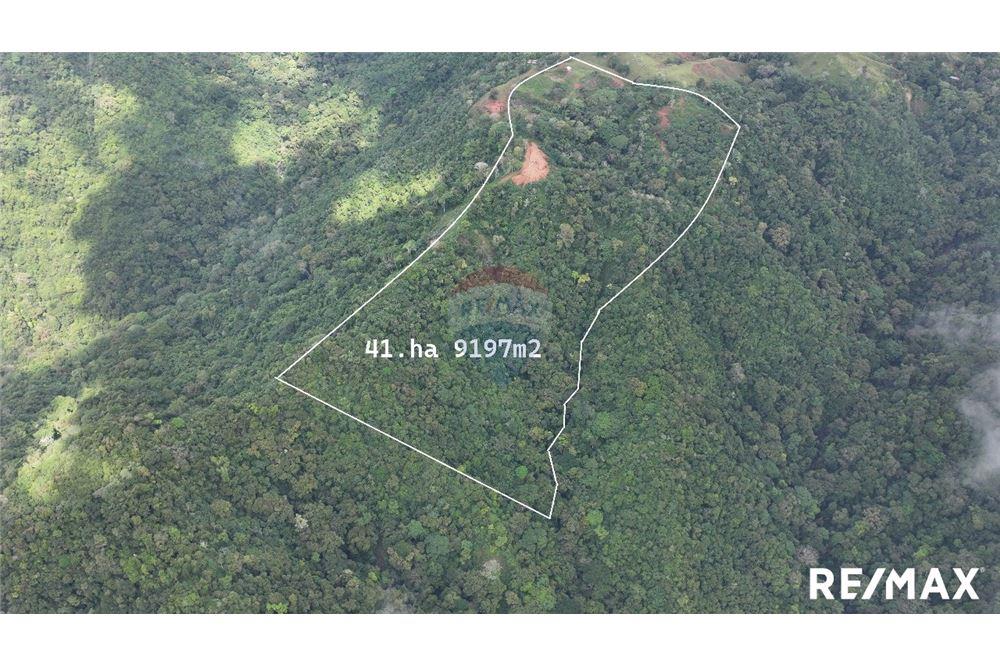 Commercio - Terreno - Jaco - Jaco, Puntarenas- Garabito, Costa Rica - Caribbean & Central Ameri - 1 - 90168045-20