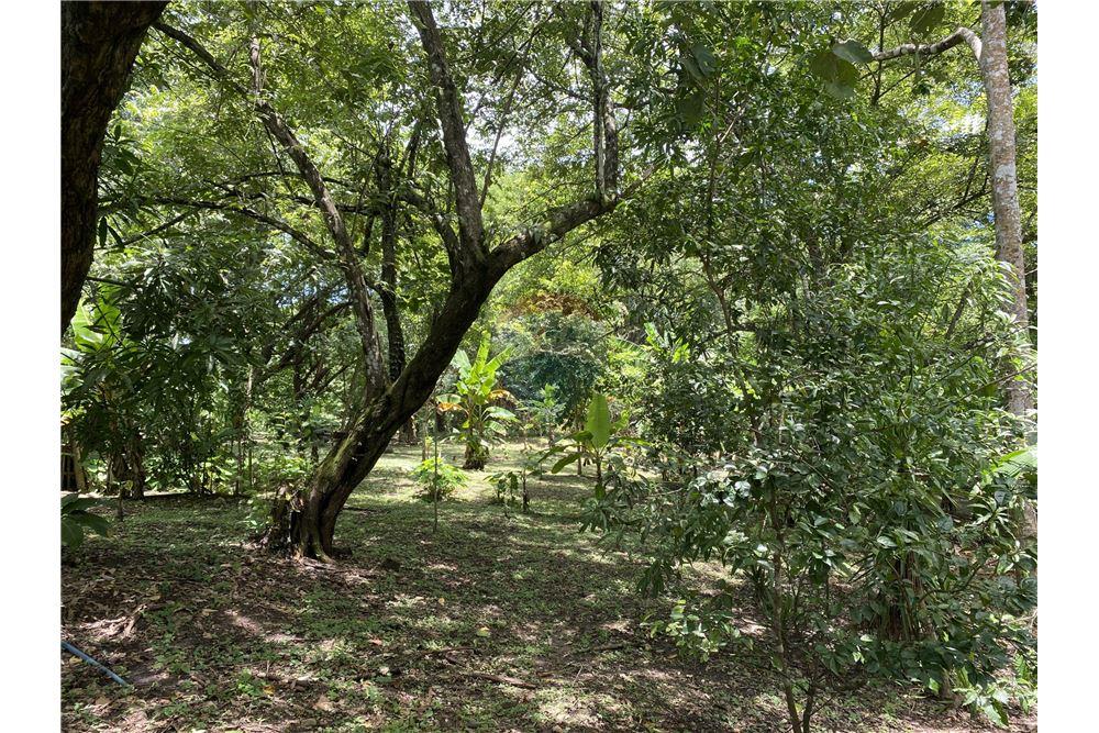 Villa - Te Koop - Manzanillo, Puntarenas - Puntarenas, Costa Rica - 17 - 90110006-43