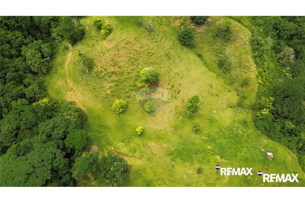 Comercial - Terreno - Parrita, Puntarenas - Parrita, Costa Rica - Caribbean & Central Ameri - 8 - 90168003-467