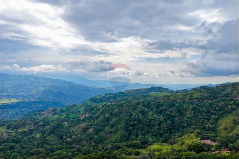 Residenziale - Villa - Atenas, Alajuela- Atenas, Costa Rica - Caribbean & Central Ameri - 4 - 90128002-995