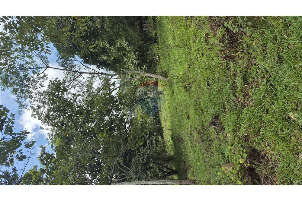 Commercial - Land - Atenas, Alajuela- Atenas, Costa Rica - Caribbean & Central Ameri - 15 - 90128007-183