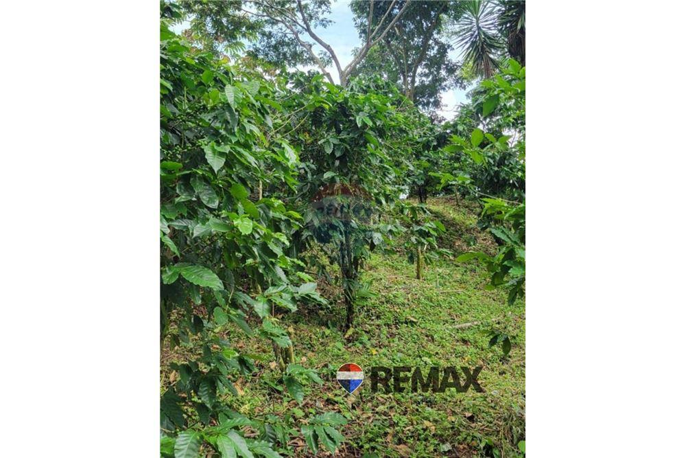 Land - For Sale - San Martin, San Salvador, El Salvador - 4 - 902501008-21