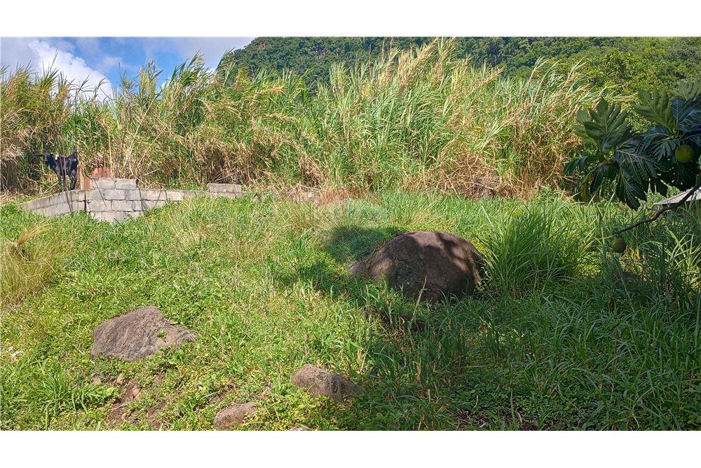 商业 - 土地 - Layou, St Vincent, St Vincent and the Grenadines - Caribbean & Central Ameri - 2 - 90109008-5