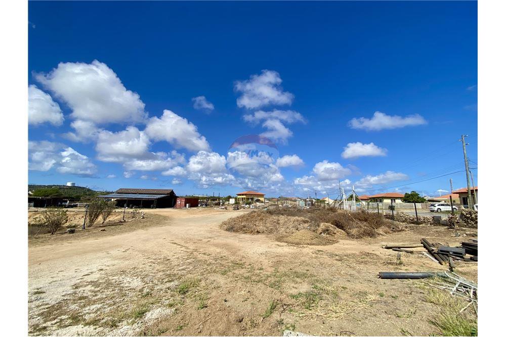 Land - For Sale - Santa Cruz, Aruba, Aruba - 55210 - 90105001-163