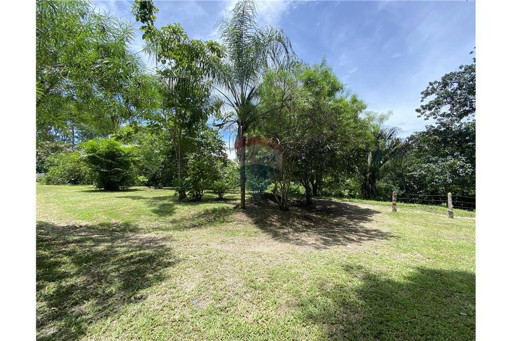 Villa - Te Koop - Manzanillo, Puntarenas - Puntarenas, Costa Rica - 12 - 90110006-43