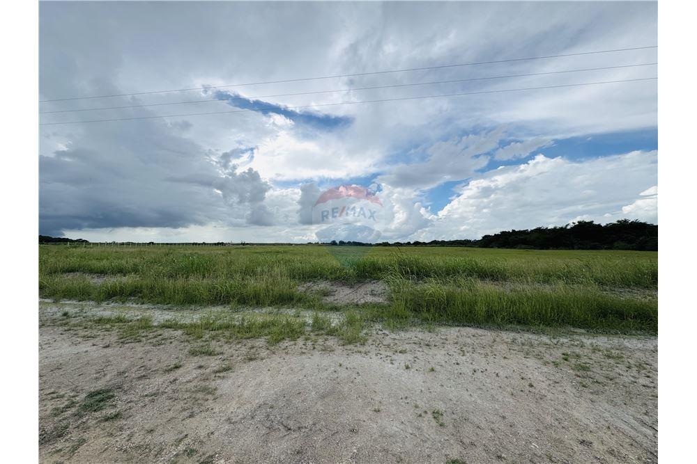 Commercial - Land - Libertad, Corozal District, Belize - Caribbean & Central Ameri - 15 - 901411007-98