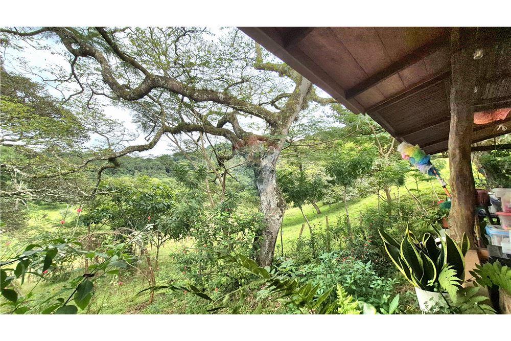 Residential - Villa - Atenas, Alajuela- Atenas, Costa Rica - Caribbean & Central Ameri - 5 - 90128007-191