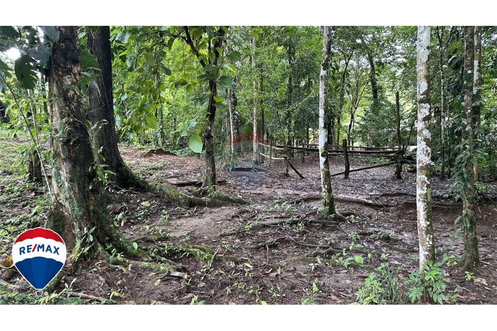 Commercio - Terreno - San José, San José, Costa Rica - Caribbean & Central Ameri - 10 - 90168030-67