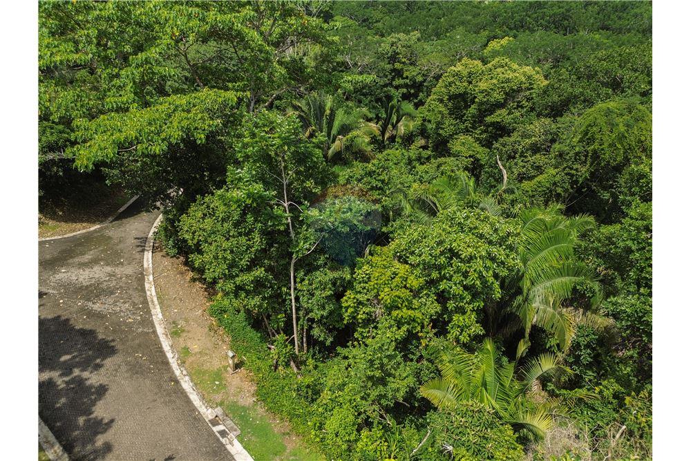 Commercio - Terreno - Parrita - Esterillos, Puntarenas - Parrita, Costa Rica - Caribbean & Central Ameri - 4 - 90168039-32