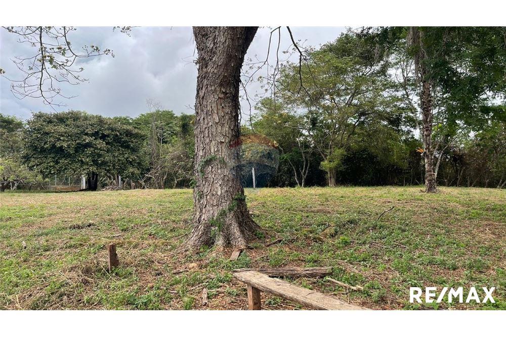 Commercio - Terreno - Puntarenas, Puntarenas - Puntarenas, Costa Rica - Caribbean & Central Ameri - 27 - 90168045-6