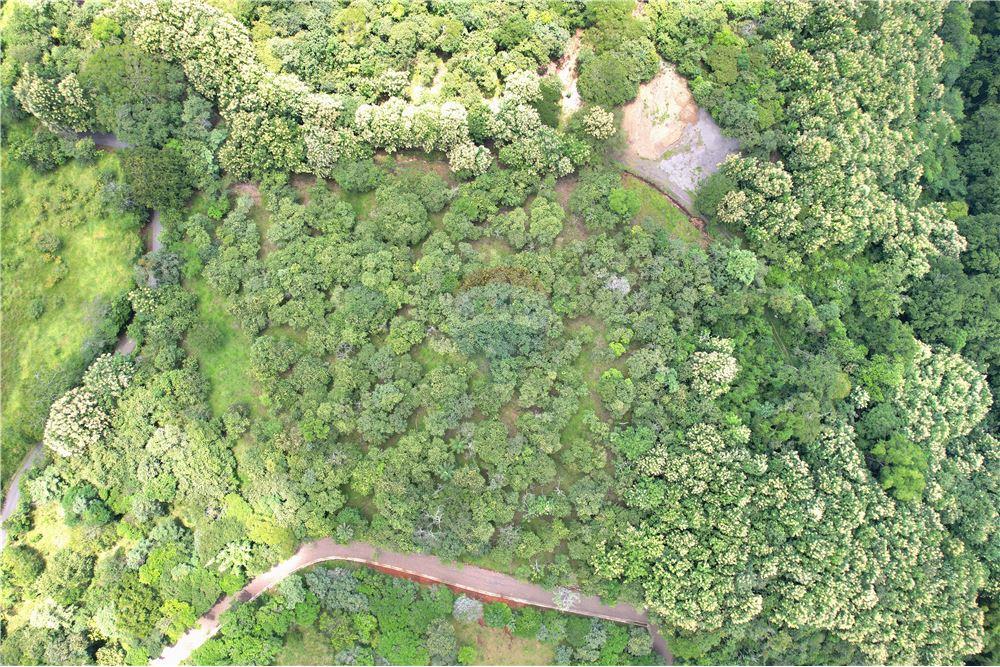 Commercial - Land - Atenas, Alajuela- Atenas, Costa Rica - Caribbean & Central Ameri - 7 - 90128007-183