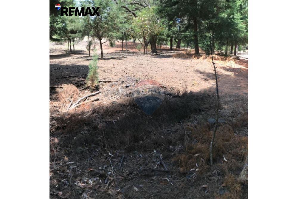 Land - For Sale - Santa Catarina Pinula, Guatemala, Guatemala - 2 - 902611001-88