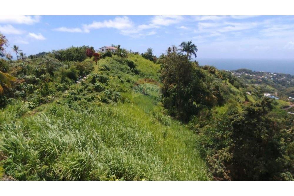 商业 - 土地 - Belmont, St Vincent, St Vincent and the Grenadines - Caribbean & Central Ameri - 5 - 90109001-315