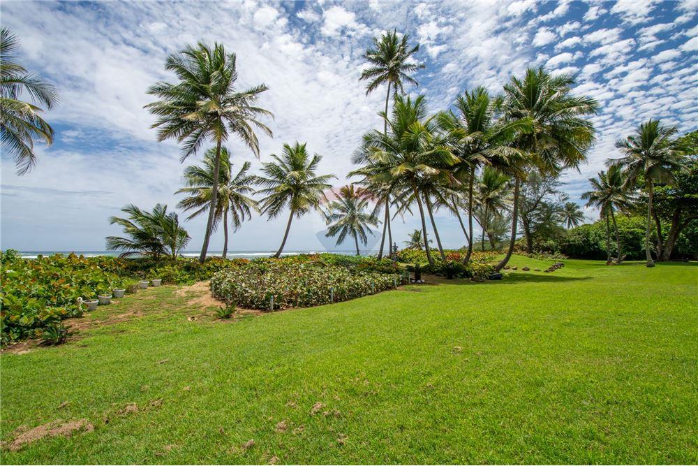 Condo/Apartment - For Sale - Bo Yeguada, Vega Baja, Puerto Rico - 30 - 90107007-120