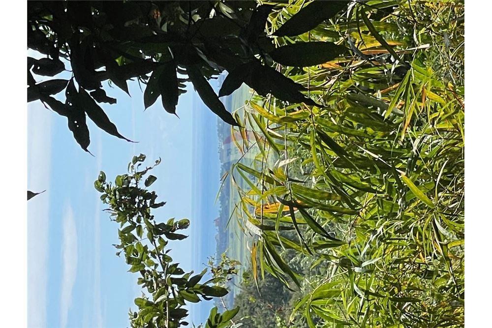 Lote - Venta - Yabucoa, Yabucoa, Puerto Rico - 1 - 90102037-11