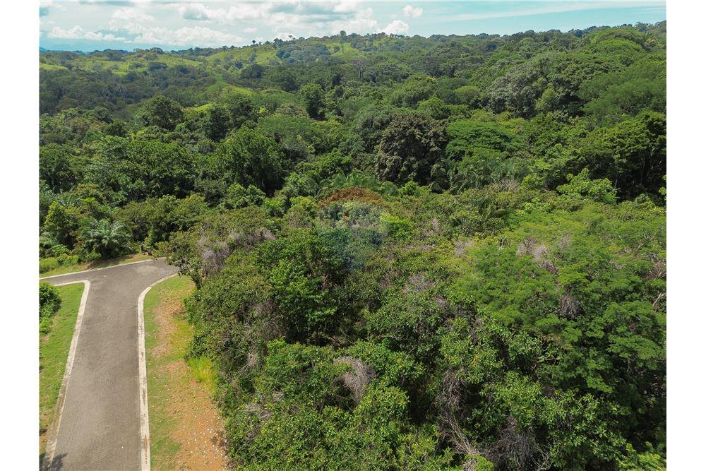 Commercio - Terreno - Parrita - Esterillos, Puntarenas - Parrita, Costa Rica - Caribbean & Central Ameri - 3 - 90168039-32