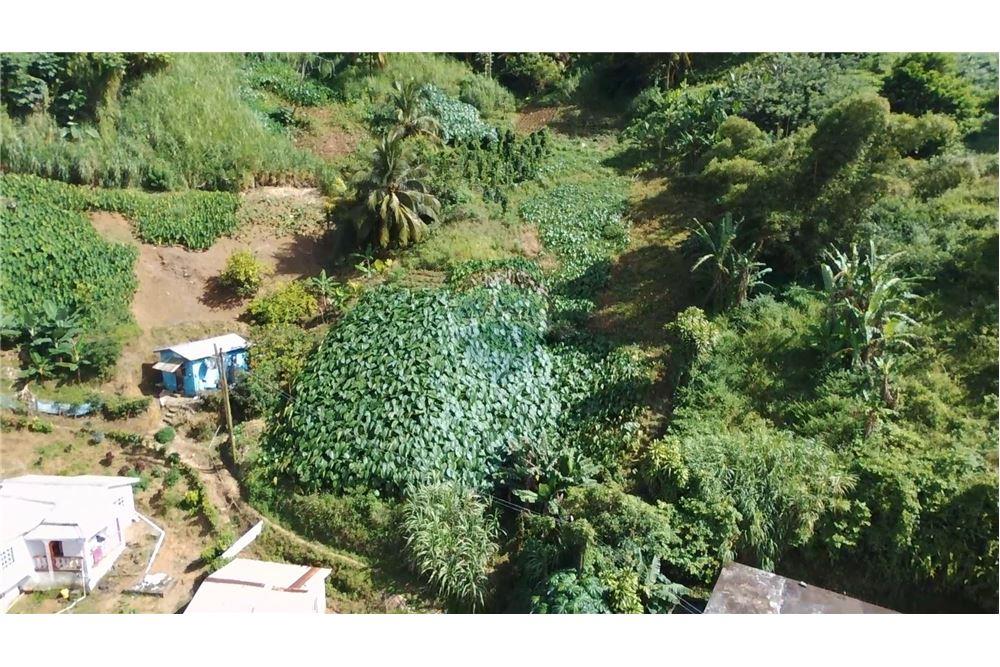 商业 - 土地 - Lowmans Windward, St Vincent, St Vincent and the Grenadines - Caribbean & Central Ameri - 5 - 90109001-320