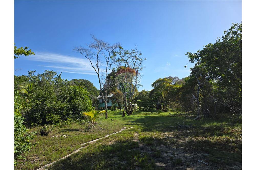 Commercial - Land - Monkey River, Toledo District, Belize - Caribbean & Central Ameri - 5 - 90127016-269