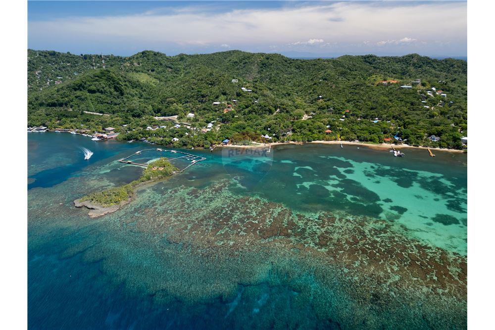 Land - For Sale - Roatan, Bay Islands, Honduras - 3 - 90143009-417
