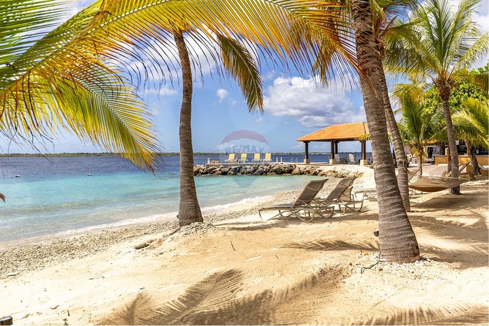 Condo/Apartment - For Sale - Kralendijk, Bonaire, Bonaire - SDM-Photography-Remax-HarbourVillage925-37.jpg - 900171001-834