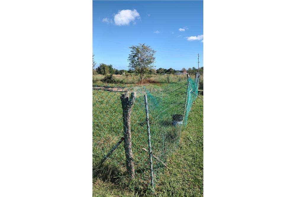 Commercial - Land - Isabela, Isabela, Puerto Rico - Caribbean & Central Ameri - 4 - 902461013-11