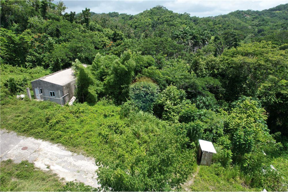 Land - For Sale - Lucea, Hanover Parish, Jamaica - 8 - 902421019-7