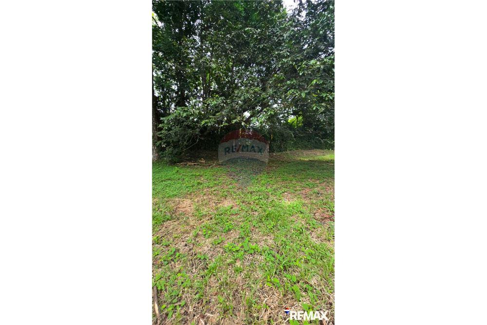 Commercial - Land - Jaco - Playa Hermosa, Puntarenas- Garabito, Costa Rica - Caribbean & Central Ameri - 13 - 90168005-700