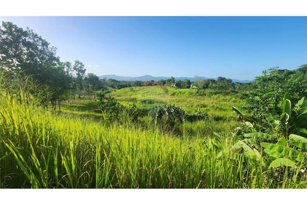 Land - For Sale - Las Lomas, Caroni, Trinidad and Tobago - 3 - 902551007-7