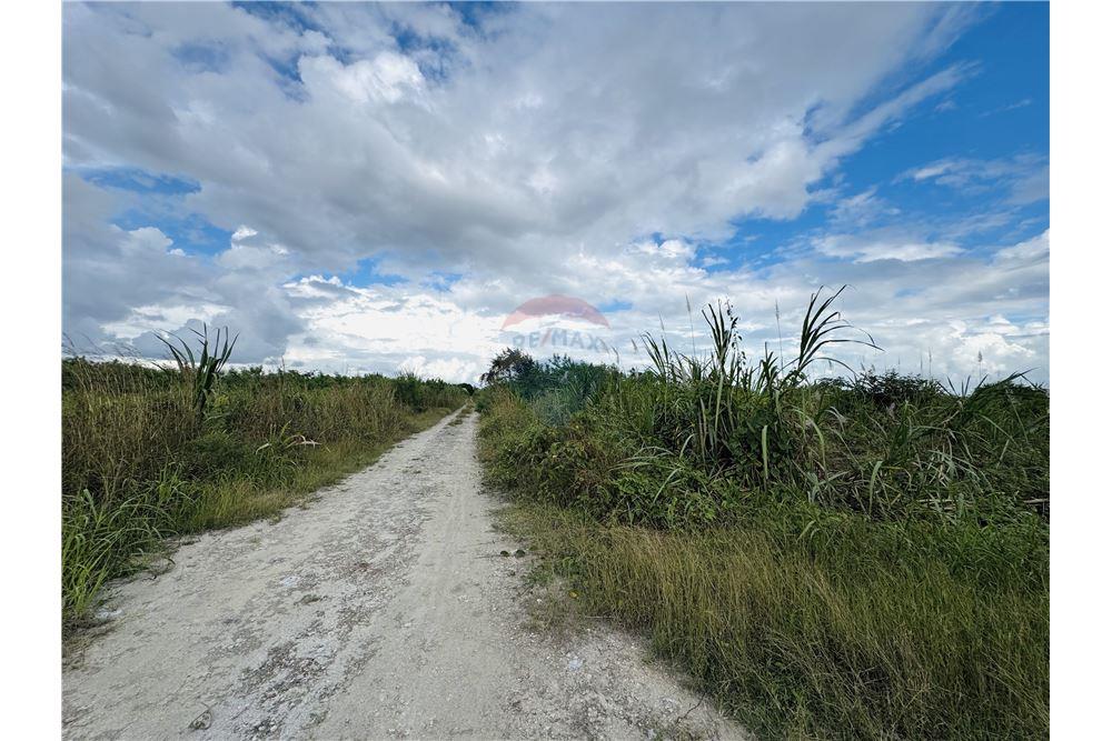Commercial - Land - Libertad, Corozal District, Belize - Caribbean & Central Ameri - 8 - 901411007-98