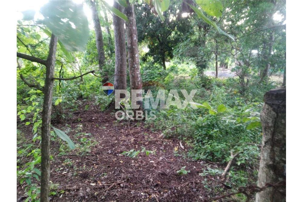 Land - For Sale - Managua, Managua, Nicaragua - 2 - 902681009-4