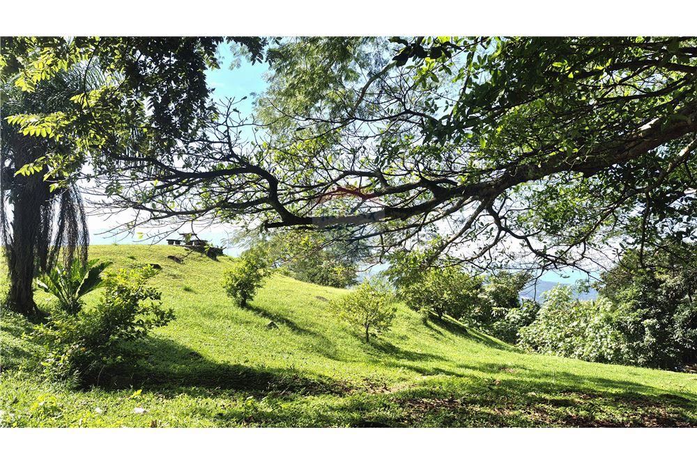 Commercieel - Grond - Atenas, Alajuela- Atenas, Costa Rica - Caribbean & Central Ameri - 19 - 90128007-192