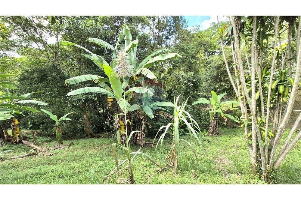 Comercial - Terreno - Atenas, Alajuela- Atenas, Costa Rica - Caribbean & Central Ameri - 8 - 90128007-195