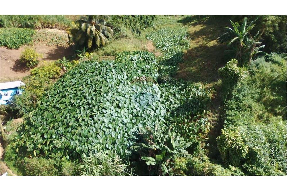 商业 - 土地 - Lowmans Windward, St Vincent, St Vincent and the Grenadines - Caribbean & Central Ameri - 3 - 90109001-320