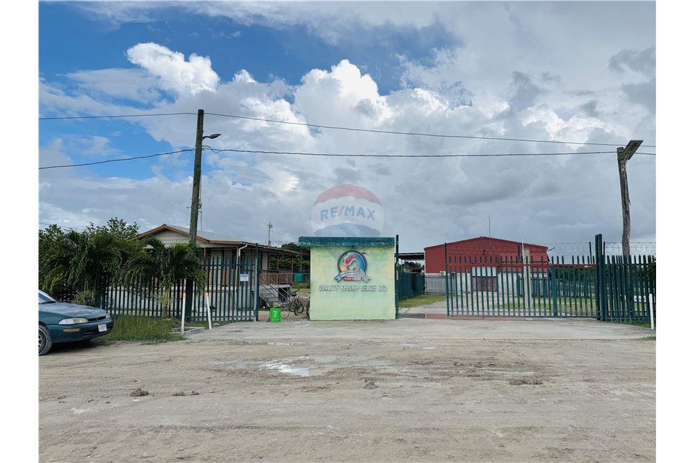 Commercial - Land - Libertad, Corozal District, Belize - Caribbean & Central Ameri - 10 - 901411007-98