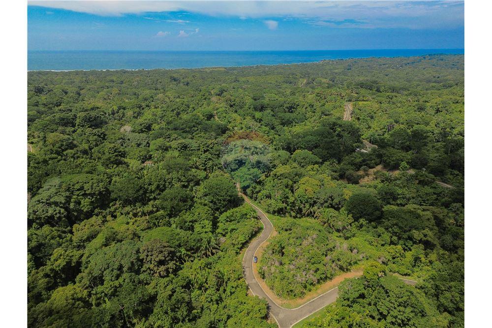 Surface commerciale - Autre terrain - Parrita - Esterillos, Puntarenas - Parrita, Costa Rica - Caribbean & Central Ameri - 19 - 90168039-31