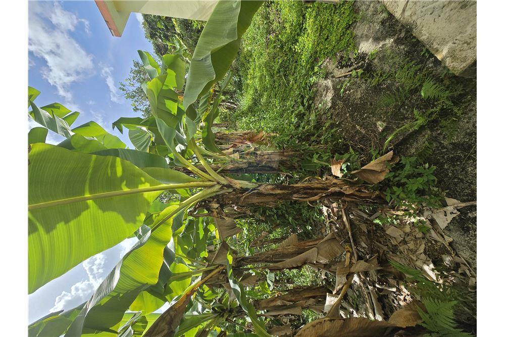 Villa - Venta - Cayey, Cayey, Puerto Rico - 10 - 90102025-339