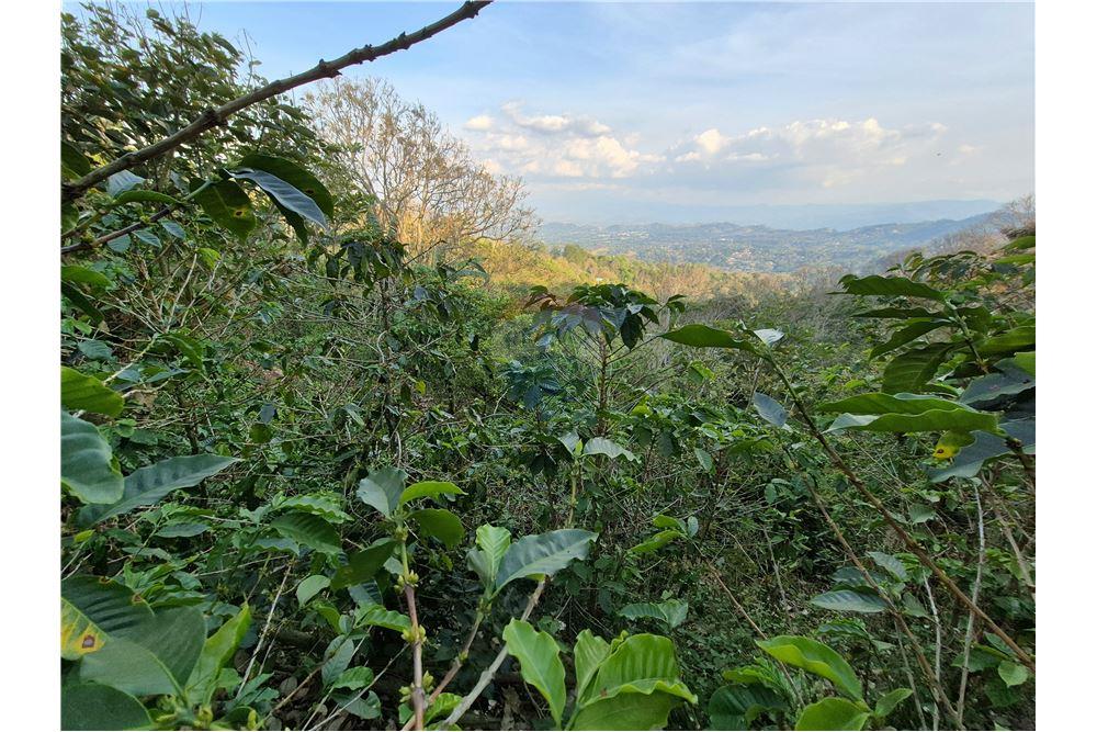 Commercial - Land - Atenas, Alajuela- Atenas, Costa Rica - Caribbean & Central Ameri - 7 - 90128007-166