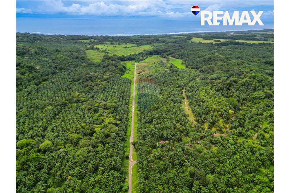 Comercial - Terreno - Parrita - Esterillos, Puntarenas - Parrita, Costa Rica - Caribbean & Central Ameri - 5 - 90168003-465