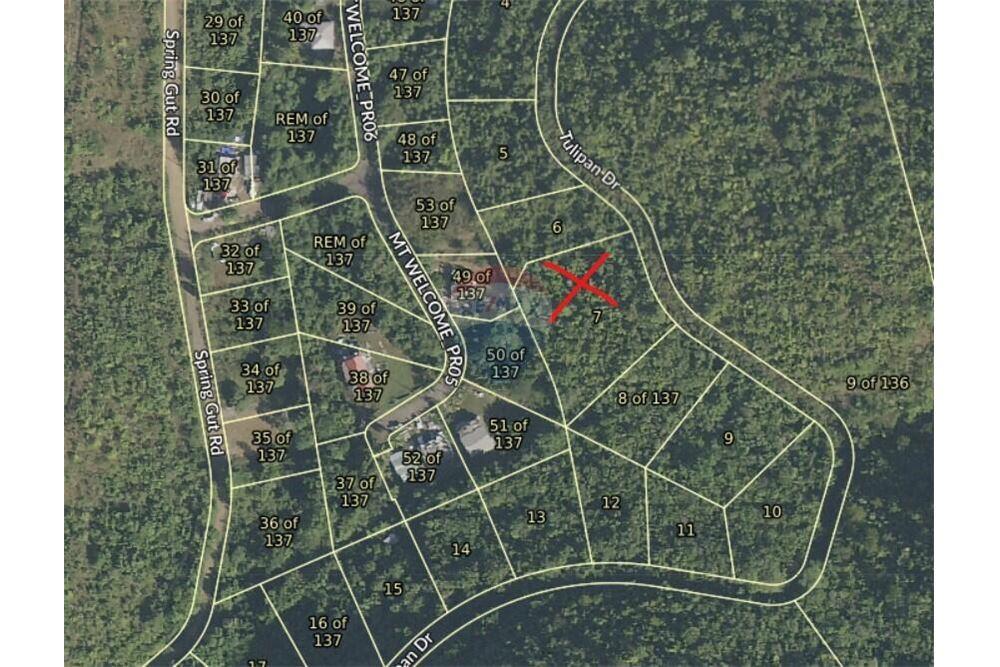 Grondstuk - Te Koop - Mount Welcome Estate, St Croix, US Virgin Islands - 8 - 90123001-1313